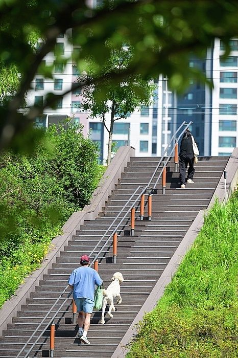 Menschen mit Hund gehen eine breite Treppe zwischen begrünten Stadtgebäuden hinauf